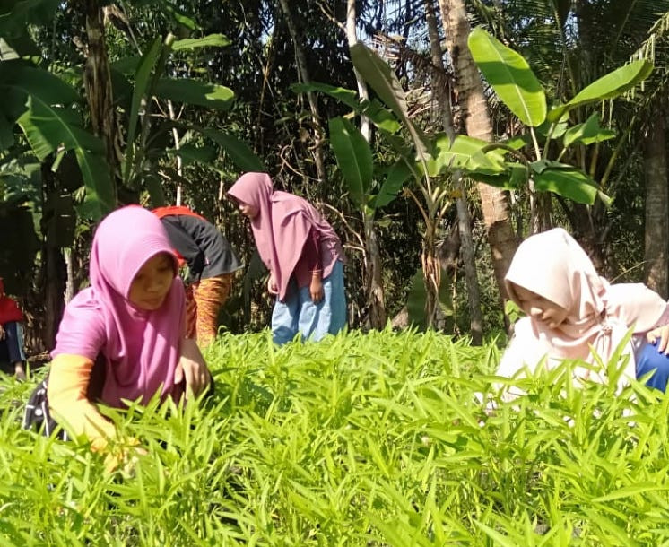 LDII Dorong Masyarakat Berdayakan Pekarangan untuk Ketahanan Pangan Keluarga