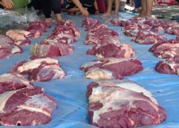 KH Chriswanto: Kurban untuk Gerakkan Ekonomi, Sejahterakan Peternak, hingga Cegah Stunting