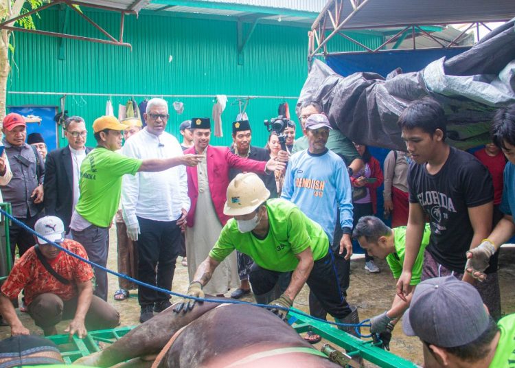 Bupati Hadiri Penyembelihan Hewan Kurban LDII Mimika