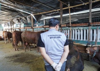 DKPP Kota Kediri Tinjau Pelaksanaan Kurban di Ponpes Wali Barokah
