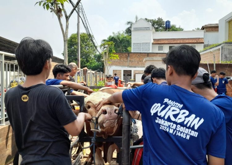 DPD LDII Jaksel Bagikan 25.000 Kantong Daging Kurban untuk Warga
