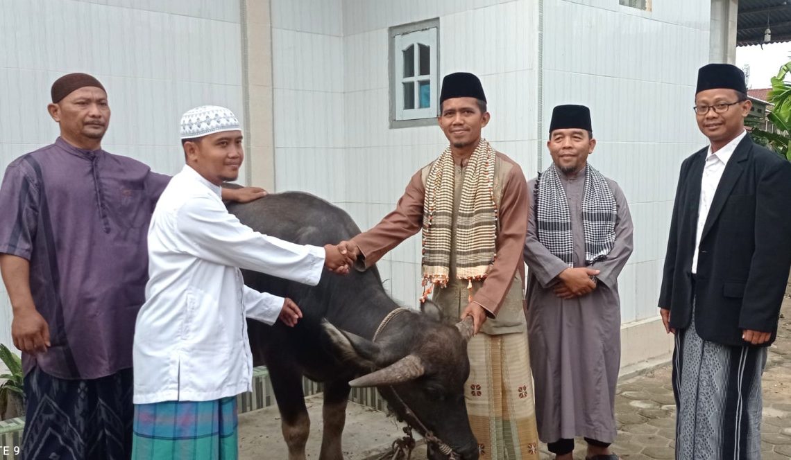 Qurban ambi