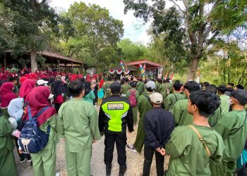 7.000 Pesilat Persinas ASAD Gelar Jalan Sehat Meriahkan Haornas 2024