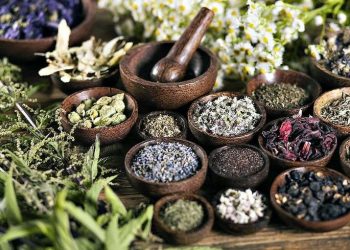 Hari Kesehatan Nasional, LDII Dorong Penggunaan Tanaman Herbal dan Terapkan Gaya Hidup Sehat