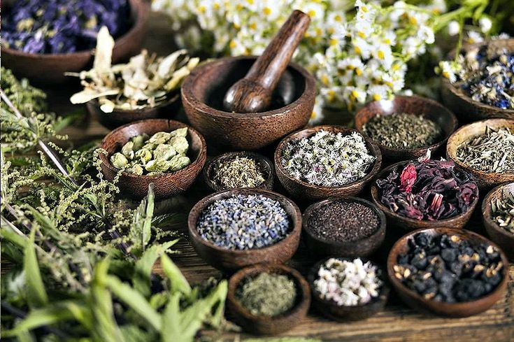 Hari Kesehatan Nasional, LDII Dorong Penggunaan Tanaman Herbal dan Terapkan Gaya Hidup Sehat