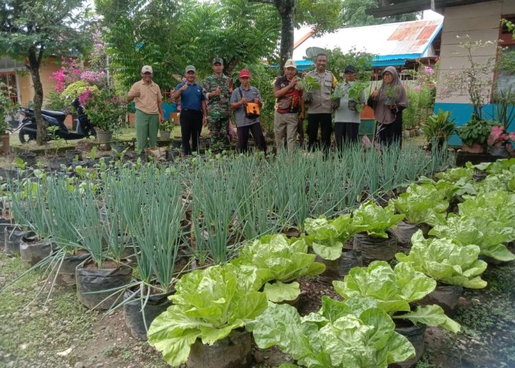 Warga LDII Kalisemen Manfaatkan Pekarangan Rumah untuk Wujudkan Ketahanan Pangan