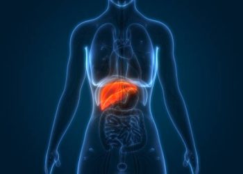 Organ Hati, Penjaga Keseimbangan Tubuh dan Penetralisir Racun