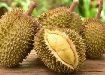 Ini 6 Efek Samping Kebanyakan Makan Durian