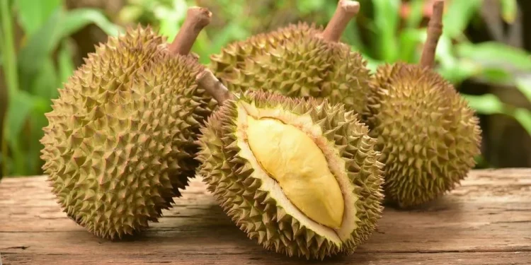 Ini 6 Efek Samping Kebanyakan Makan Durian