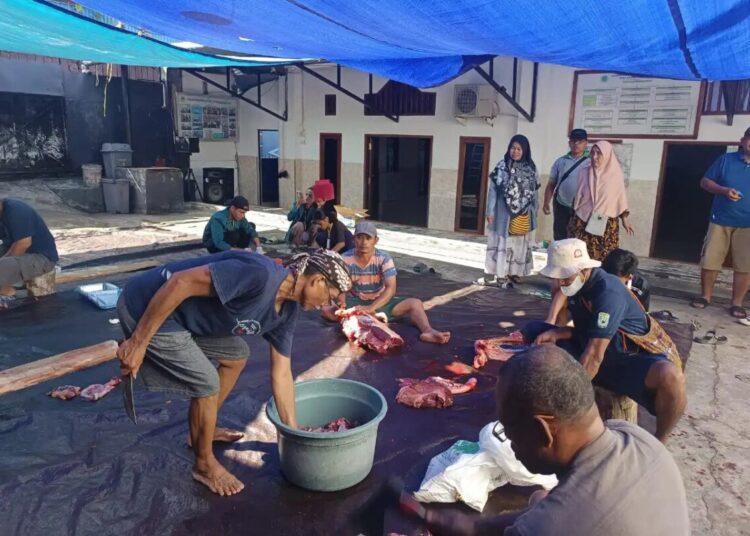 Hasil Menabung, LDII Papua Barat Sembelih 10 Ekor Sapi