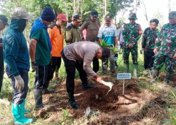 LDII Jatipurno Hijaukan Kawasan Hutan Girilestari dengan Ribuan Bibit Pohon