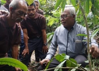 DPP LDII: Penghentian Impor Pangan Penting untuk Kemandirian Pangan