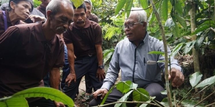 DPP LDII: Penghentian Impor Pangan Penting untuk Kemandirian Pangan