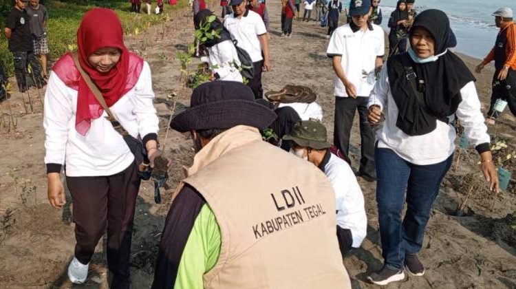 LDII Tegal Tanam 3.000 Mangrove di Demangharjo untuk Cegah Abrasi
