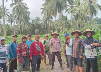 Wujudkan Ketahanan Pangan, Warga LDII Bolaang Mongondow dan Kepolisian Dumoga Barat Tanam Jagung Bersama