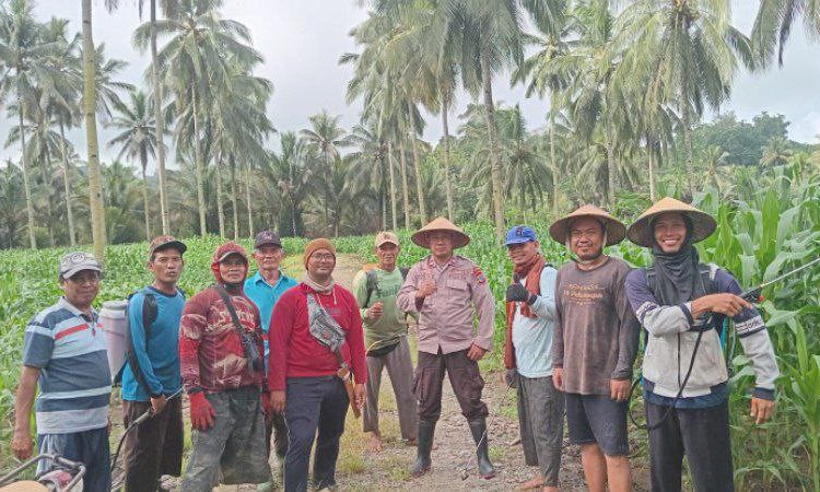 Wujudkan Ketahanan Pangan, Warga LDII Bolaang Mongondow dan Kepolisian Dumoga Barat Tanam Jagung Bersama