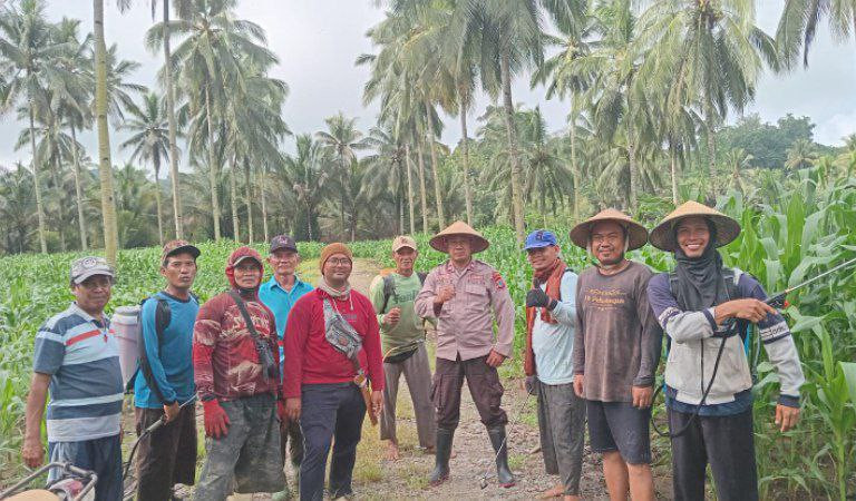 Wujudkan Ketahanan Pangan, Warga LDII Bolaang Mongondow dan Kepolisian Dumoga Barat Tanam Jagung Bersama
