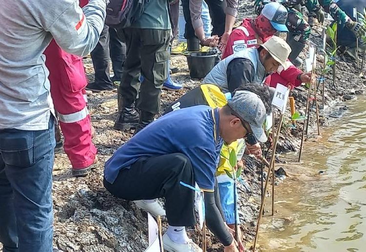 LDII Subang Turut Serta dalam Penanaman 24.000 Mangrove di Mayangan