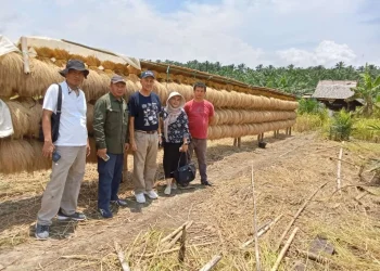 LDII Banten Tawarkan Padi Gogo Alternatif Ketahanan Pangan