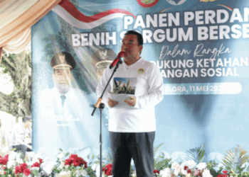 LDII Dorong Sorgum Jadi Komoditas Strategis Nasional