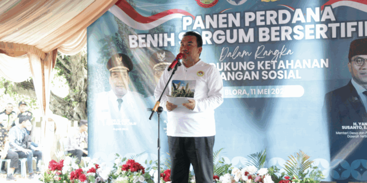 LDII Dorong Sorgum Jadi Komoditas Strategis Nasional