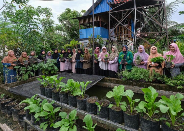 Hijaukan Lahan Sempit, Warga LDII Kota Kendari Jadi Pelopor Urban Farming dan Bank Sampah