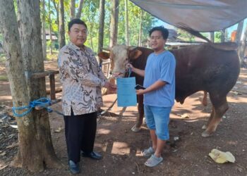 Presiden Prabowo Berikan Bantuan Sapi Kurban pada Ponpes Citra Suhada Wonogiri