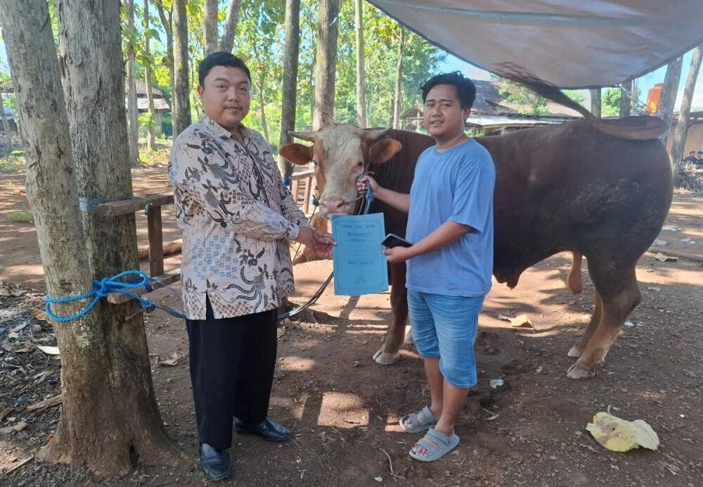 Presiden Prabowo Berikan Bantuan Sapi Kurban pada Ponpes Citra Suhada Wonogiri