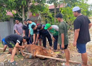 Persentase Kurban Meningkat, LDII Kalbar Bagikan Daging Door to Door