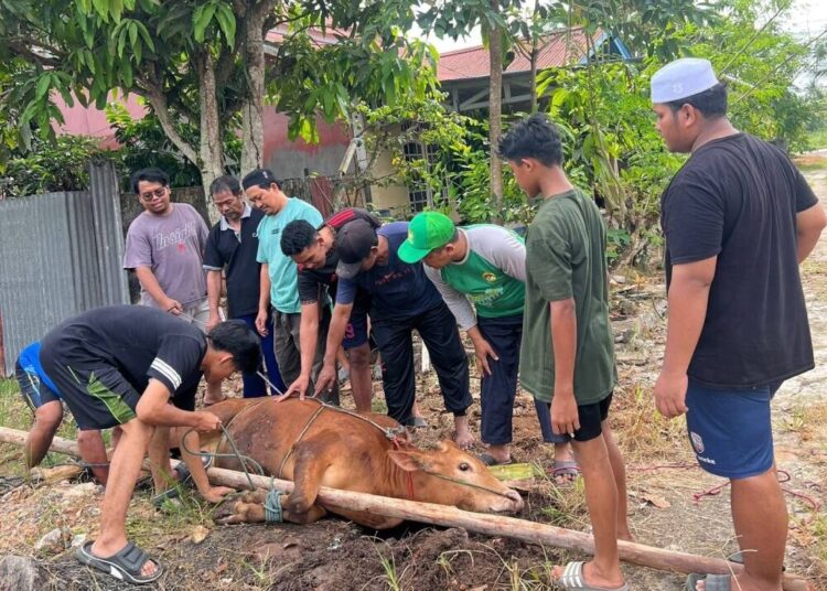 Persentase Kurban Meningkat, LDII Kalbar Bagikan Daging Door to Door