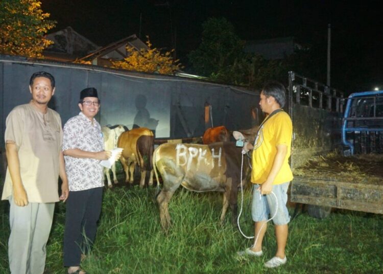 Badan Pengelola Keuangan Haji Berikan Hewan Kurban Pada Ponpes Minhajurrosyidin