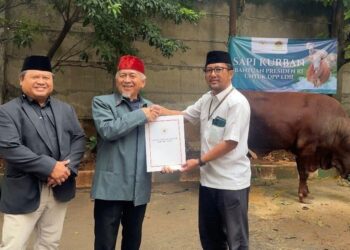 DPP LDII dan Ponpes Wali Barokah Terima Bantuan Sapi Kurban dari Presiden dan Wakil Presiden