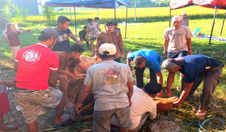 Puluhan Ribu Paket Kurban Dibagikan, LDII Situbondo Ajak Masyarakat Peduli Sesama