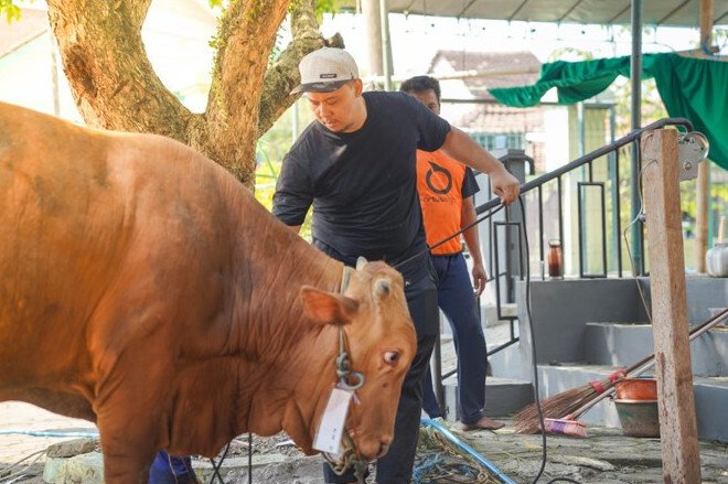 LDII Kota Semarang Tingkatkan Jumlah Kurban, Total Nilai Ekonomi Capai Rp10 Miliar