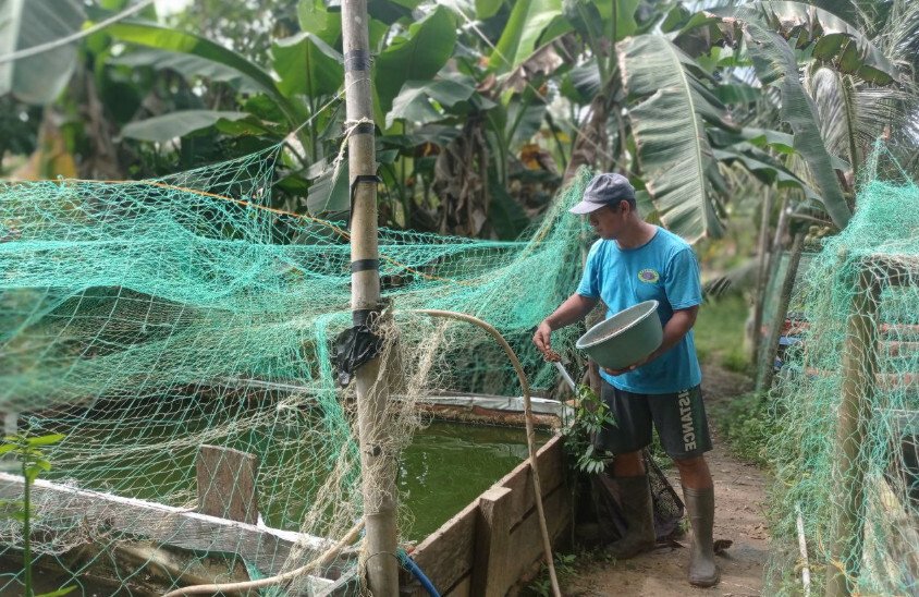 Warga LDII Nunukan Kembangkan Budidaya Lele, Raup Jutaan Rupiah per Bulan
