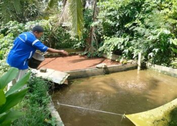 LDII DIY Tawarkan Ramuan Pakan Lokal di Final PFmuda