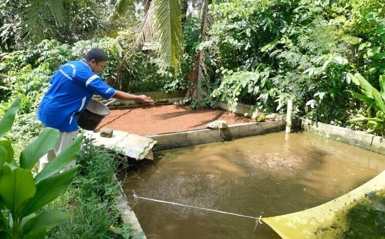 LDII DIY Tawarkan Ramuan Pakan Lokal di Final PFmuda