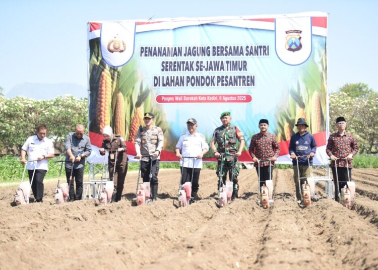 Ponpes Wali Barokah & Polres Kediri Kota Tanam Jagung Dukung Ketahanan Pangan