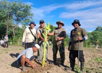 LDII Pasigala Gelar Kerja Bakti Massal Bersihkan Lahan dan Tanam Pohon