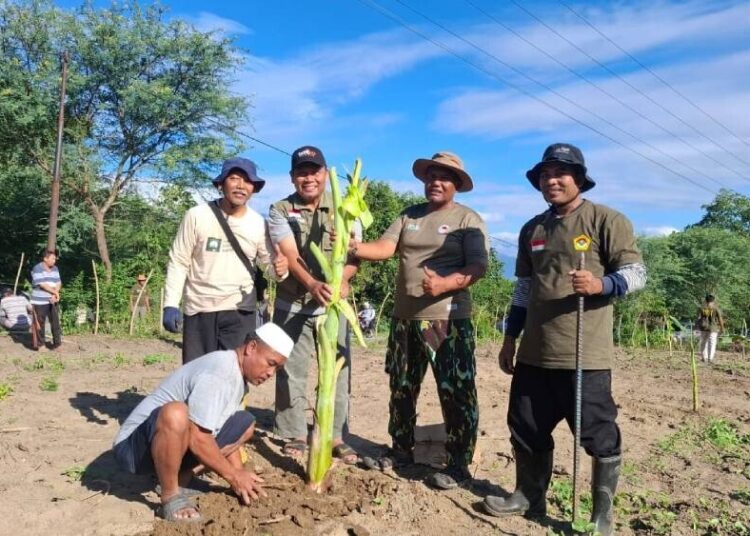 LDII Pasigala Gelar Kerja Bakti Massal Bersihkan Lahan dan Tanam Pohon