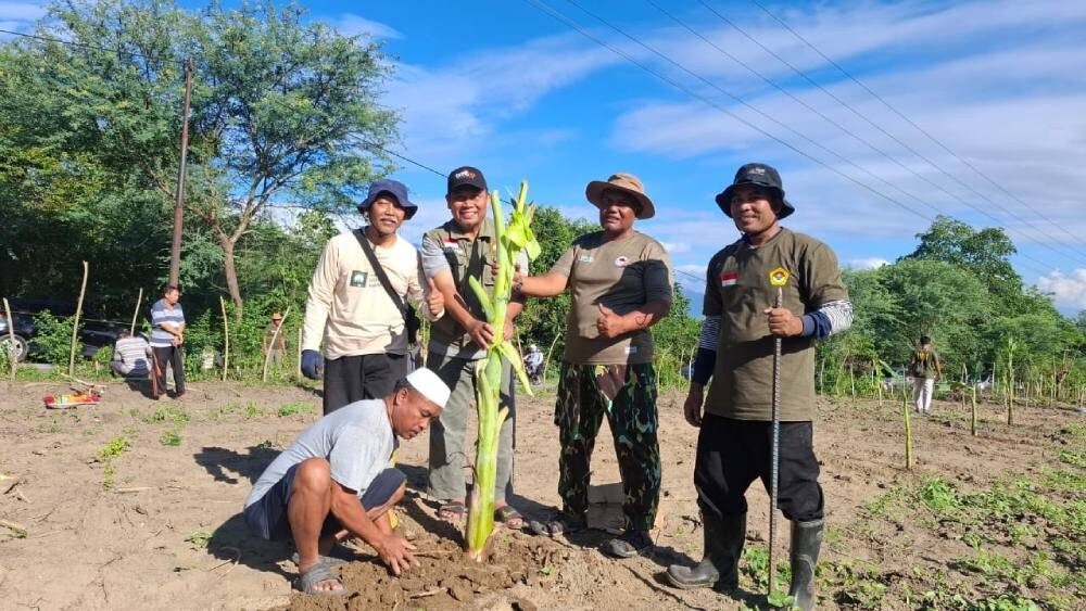 LDII Pasigala Gelar Kerja Bakti Massal Bersihkan Lahan dan Tanam Pohon