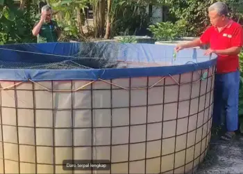 Budidaya Ikan Lele Tanpa Aroma Amis, Apa Bisa?