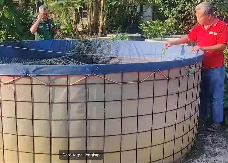 Budidaya Ikan Lele Tanpa Aroma Amis, Apa Bisa?