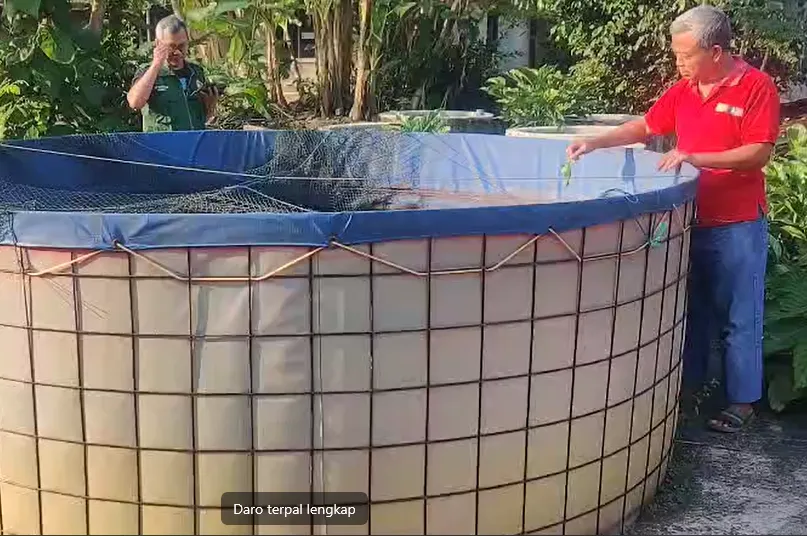 Budidaya Ikan Lele Tanpa Aroma Amis, Apa Bisa?