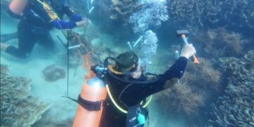 LDII Dukung Penuh Upaya Konservasi Terumbu Karang di Provinsi Banten