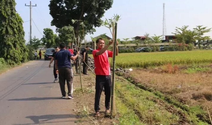 LDII Dukung Program Jumat Bersih Pemkab Pemalang dengan Tanam Pohon Tabebuya