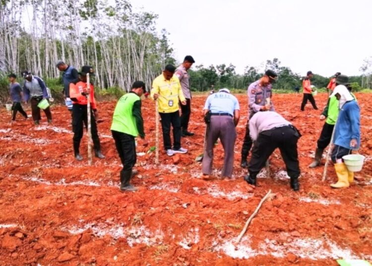 Jalankan Program Ketahanan Pangan, Polres Kotabaru Gandeng LDII dan Pihak Swasta