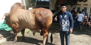 PC LDII Cileungsi Gelar Sholat Idul Adha 1447 H di Tiga Lokasi, Tebar Ribuan Paket Daging Kurban