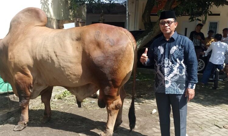 PC LDII Cileungsi Gelar Sholat Idul Adha 1447 H di Tiga Lokasi, Tebar Ribuan Paket Daging Kurban
