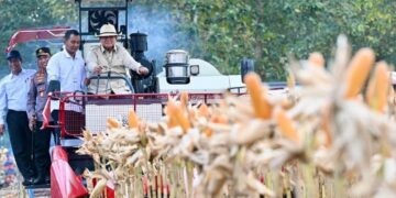 Presiden Prabowo Panen Raya Jagung di Tuban, LDII Tuban Hadiri dan Berikan Dukungan